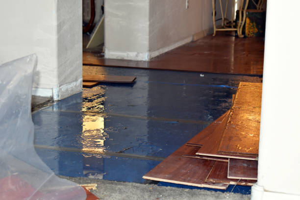 Professional Water Damage Restoration technician working in Lillington, NC